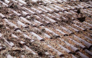 Craigavon roof cleaning companies