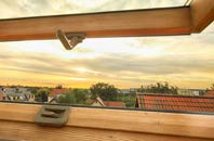 rated Craigavon roof window companies